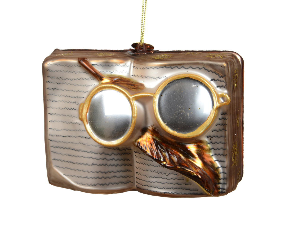 EGĻU ROTĀJUMS - HARRY POTTER BRILLES UZ GRĀMATAS, 10X4,8 H7,5CM, STIKLS