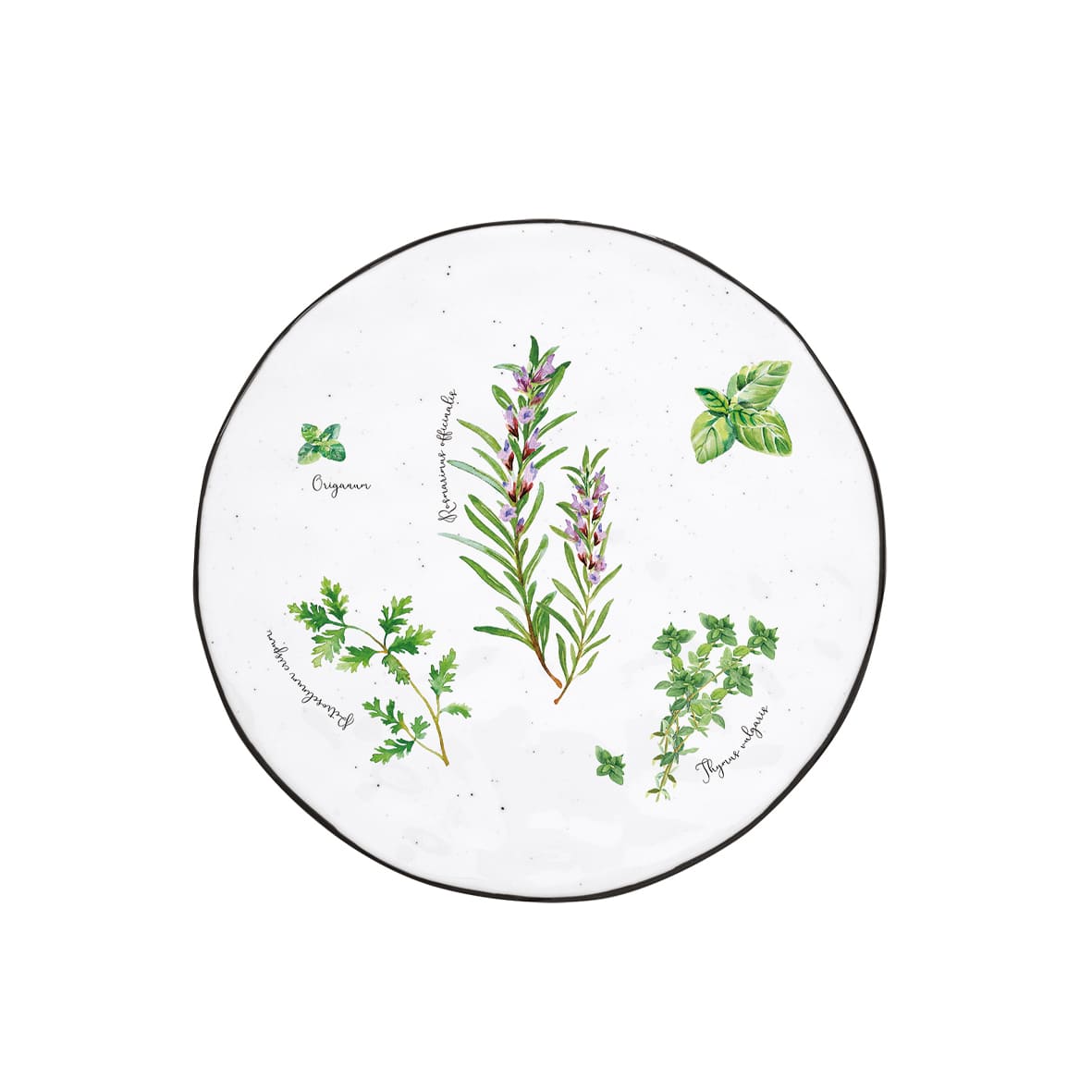 HERBARIUM PALIKTNIS 20 CM, DĀVANU KASTĒ, PORCELĀNS