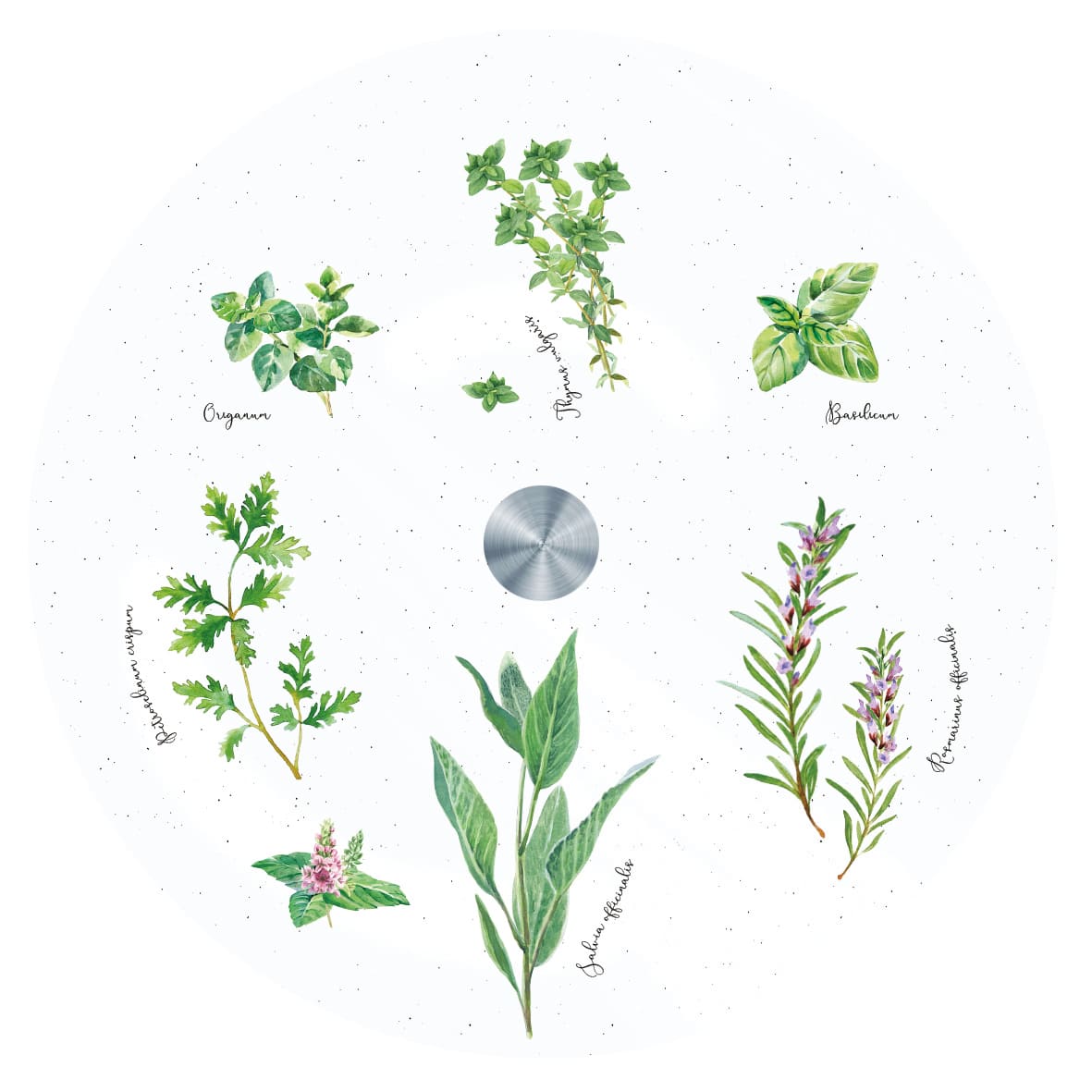 HERBARIUM ROTĒJOŠAIS ŠĶĪVIS 32 CM, STIKLS