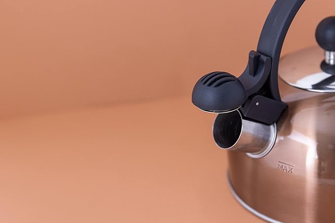 LA CAFETIÈRE TĒJKANNA AR SVILPI 1.4L VARA KRĀSĀ, N/T, DĀVANU KASTĒ