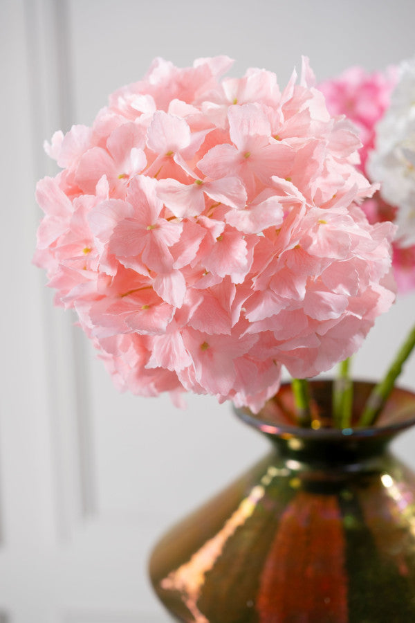 HORTENSIA, TEHISLILL, HÕRE ROOSA, 64CM