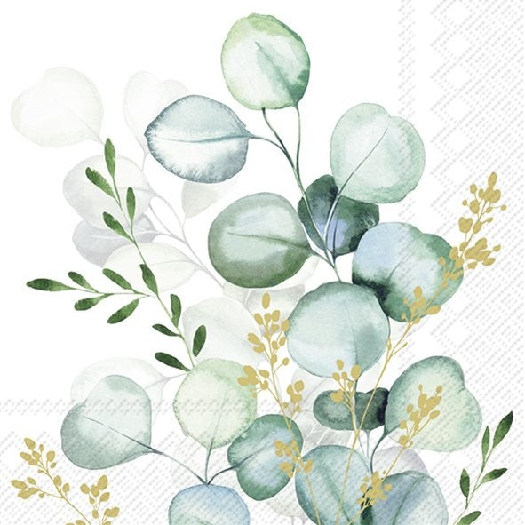 EUCALYPTUS BOUQUET SALVETES 25x25CM 20GAB, ZAĻAS AR DEKORU, PAPĪRS