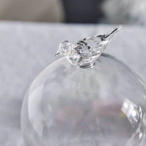 BIRD SALDUMU TRAUKS AR VĀKU 11.5x19.5cm, STIKLS