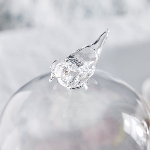 BIRD SALDUMU TRAUKS AR VĀKU 14x24cm, STIKLS