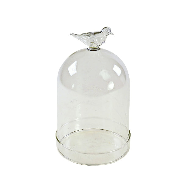 BIRD SALDUMU TRAUKS AR VĀKU 14x24cm, STIKLS