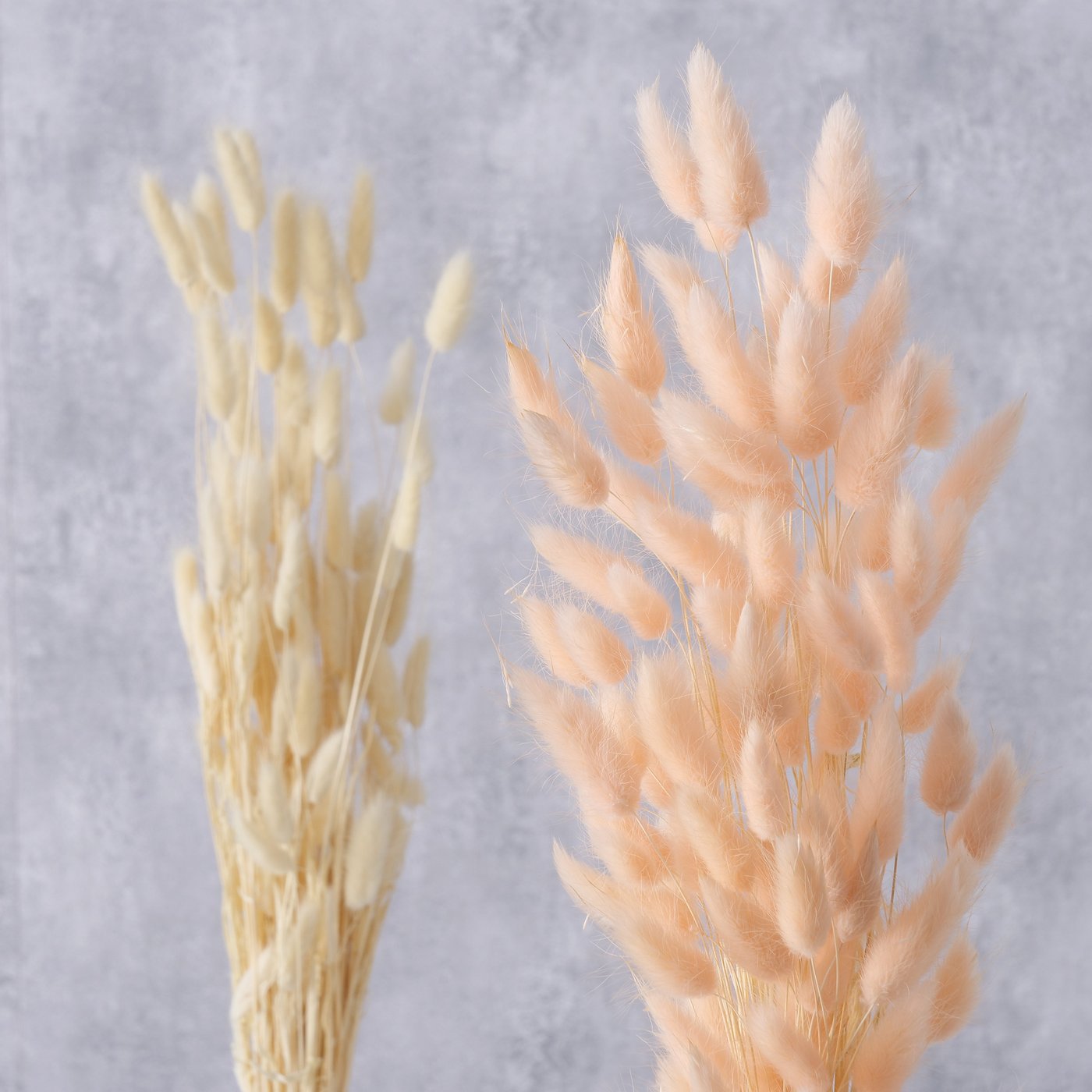 SAMTGRAS DEKORATĪVU ZARU PUŠĶIS, 60CM