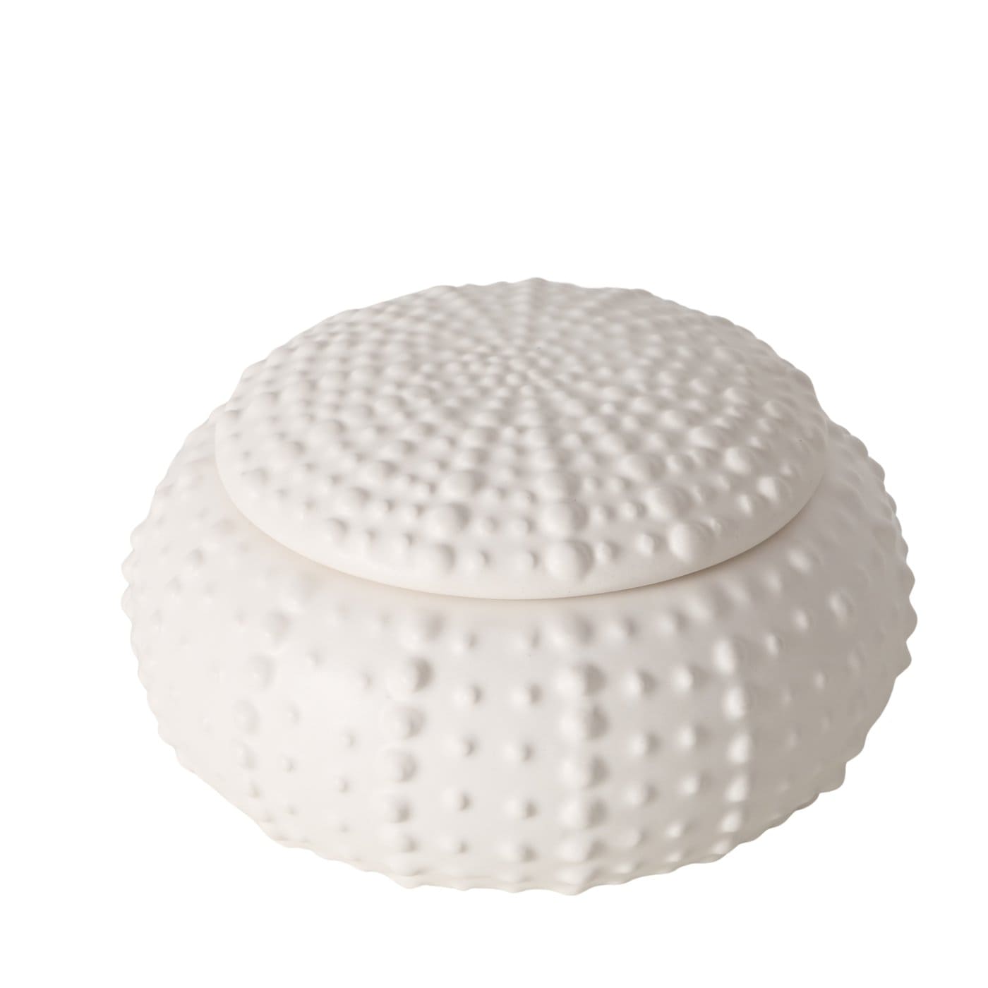 TIN ECHINO TRAUKS H5CM/D10CM, AR VĀKU, BALTS, PORCELĀNS