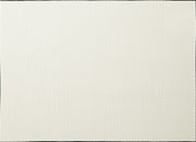GALDA PALIKTNIS 46X33CM, BALTS, PVC
