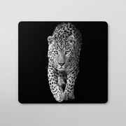 STIKLA DĒLIS 56 X 50 X 1,4 CM LEOPARDS