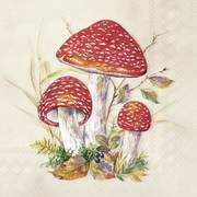 TOAD SALVETES 33 X33 CM 20GAB, PAPĪRS