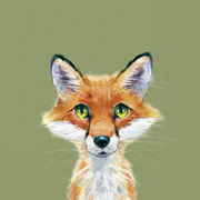FOX ROCCO SALVETES 33 X33 CM 20GAB, PAPĪRS