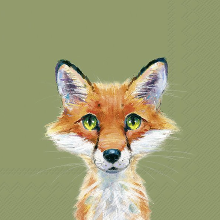 FOX ROCCO SALVETES 33 X33 CM 20GAB, PAPĪRS