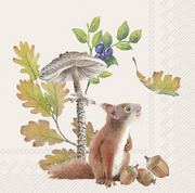 FALL SQUIRREL SALVETES 25X25 CM 20GAB, PAPĪRS