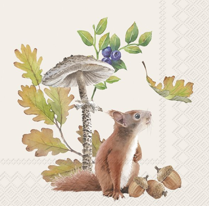 FALL SQUIRREL SALVETES 25X25 CM 20GAB, PAPĪRS