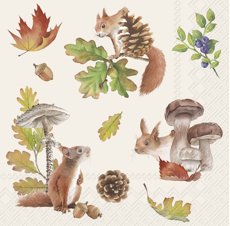 FALL SQUIRREL SALVETES 33 X33 CM 20GAB, PAPĪRS
