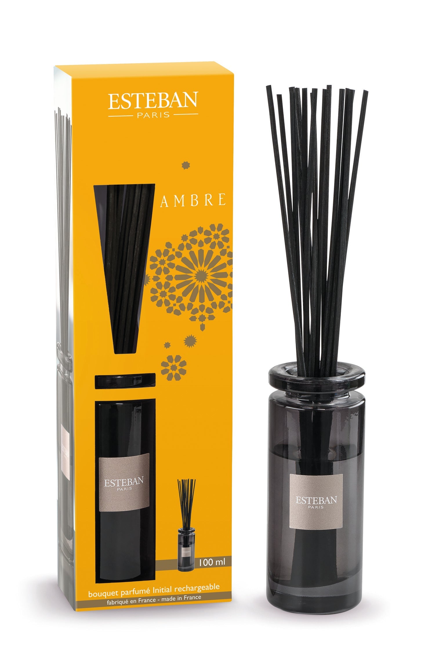 AMBRE INITIAL TELPU AROMATIZATORA KOMPL. 100ML, 16 KOCIŅI
