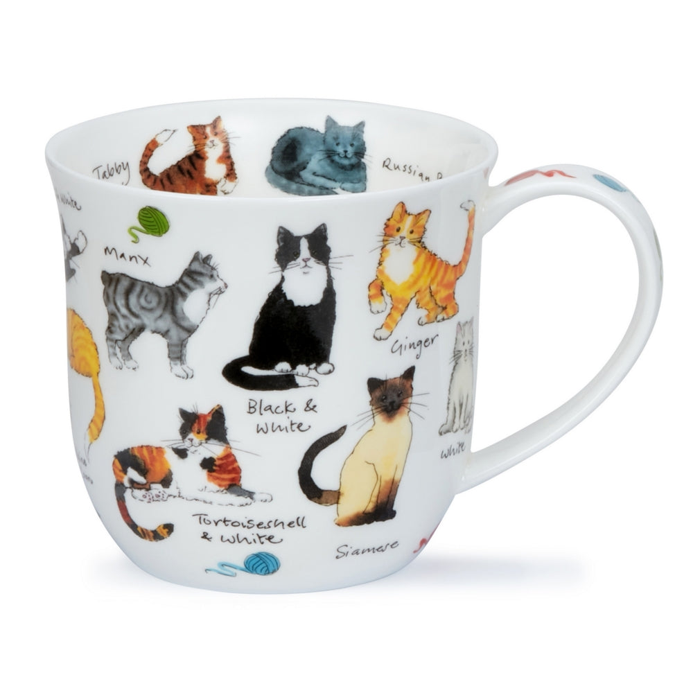 CUMBRAE KRŪZE 450ML CAT BREEDS