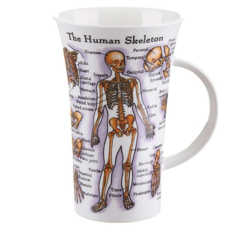 GLENCOE KRŪZE 500ML THE HUMAN BODY GL-HUMB-XX