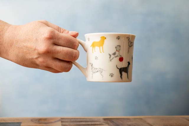 MIKASA DOG FLUTED KRŪZE 250ML, KERAMIKA