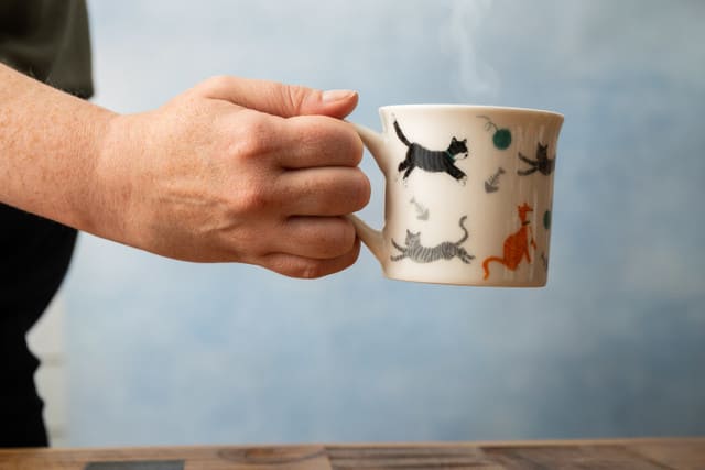 MIKASA CAT FLUTED KRŪZE 250ML, KERAMIKA