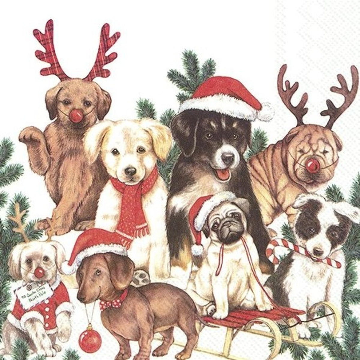 DOG - MAS SALVETES 33 X33 CM 20GAB, PAPĪRS