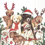 DOG - MAS SALVETES 33 X33 CM 20GAB, PAPĪRS
