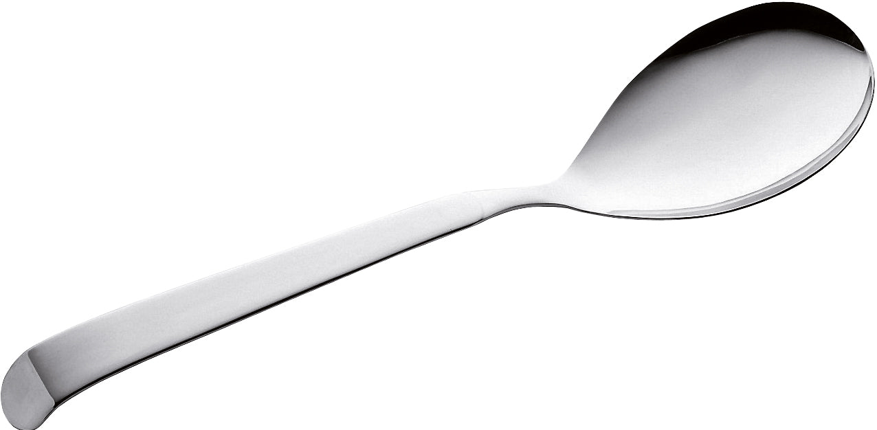 ASTRA SERVĒŠANAS KAROTE 30cm, N/T