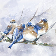 CUDDLY BIRDIES SALVETES 33 X33 CM 20GAB, PAPĪRS