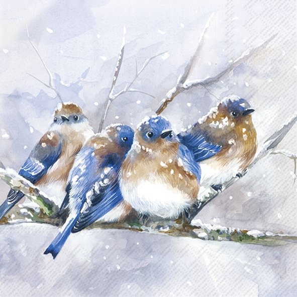 CUDDLY BIRDIES SALVETES 33 X33 CM 20GAB, PAPĪRS
