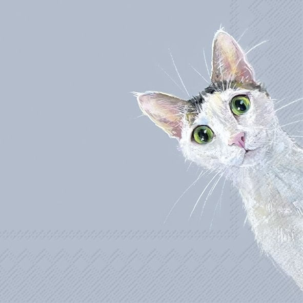CAT STELLA SALVETES 33x33CM 20GAB, PELĒKZILAS, PAPĪRS