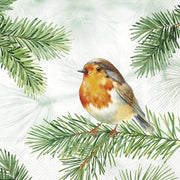 CHARMING ROBIN SALVETES 25x25CM 20GAB, PAPĪRS