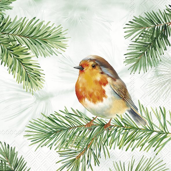 CHARMING ROBIN SALVETES 25x25CM 20GAB, PAPĪRS