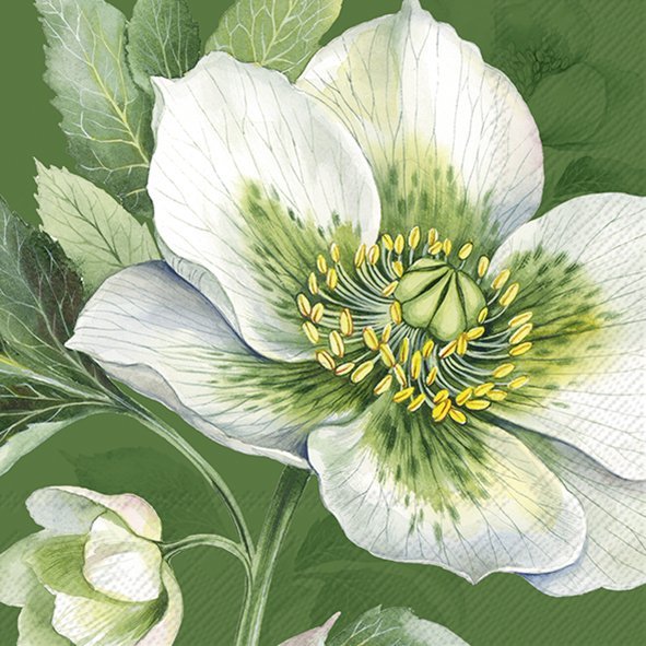 ELEGANT CHRISTMAS ROSE SALVETES 33x33CM 20GAB, PAPĪRS