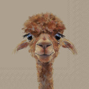 ALPACA FERNANDO SALVETES 33X33 CM 20GAB, PAPĪRS