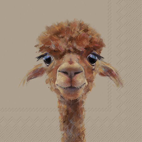 ALPACA FERNANDO SALVETES 33X33 CM 20GAB, PAPĪRS