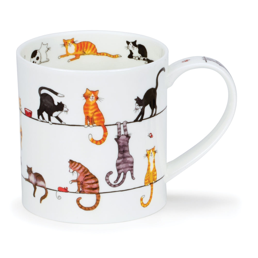 ORKNEY KRŪZE 350ML LIVE WIRES CAT
