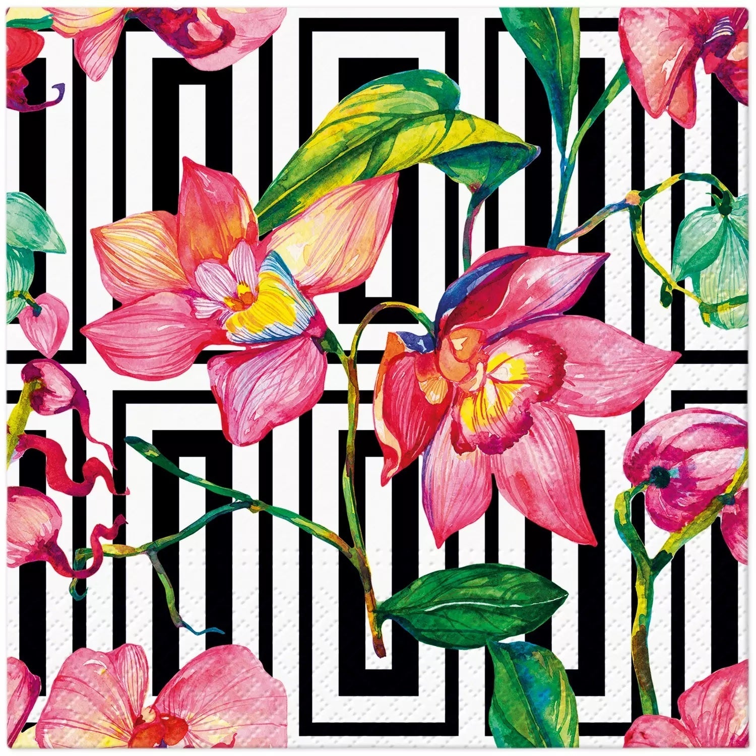 SALVETES 33X33 WILDFLOWER ORCHID