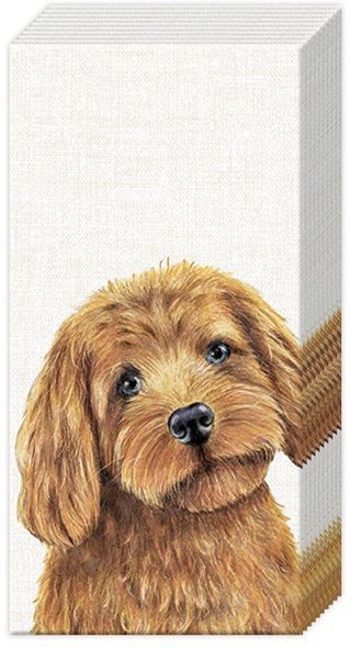 FARM DOG KABATAS LAKATIŅI 21X21CM 20 GAB., 4 SLĀŅU, PAPĪRA