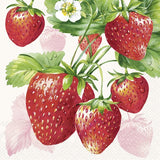 Papīra salvetes