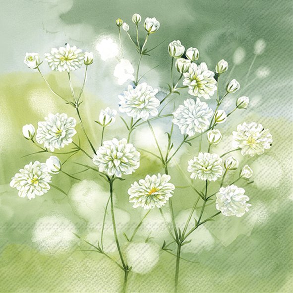 LITTLE BEAUTIES SALVETES 25x25CM 20GAB, ZAĻAS AR DEKORU, PAPĪRS