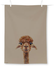 ALPACA FERNANDO VIRTUVES DVIELIS 50x70CM, KOKVILNA