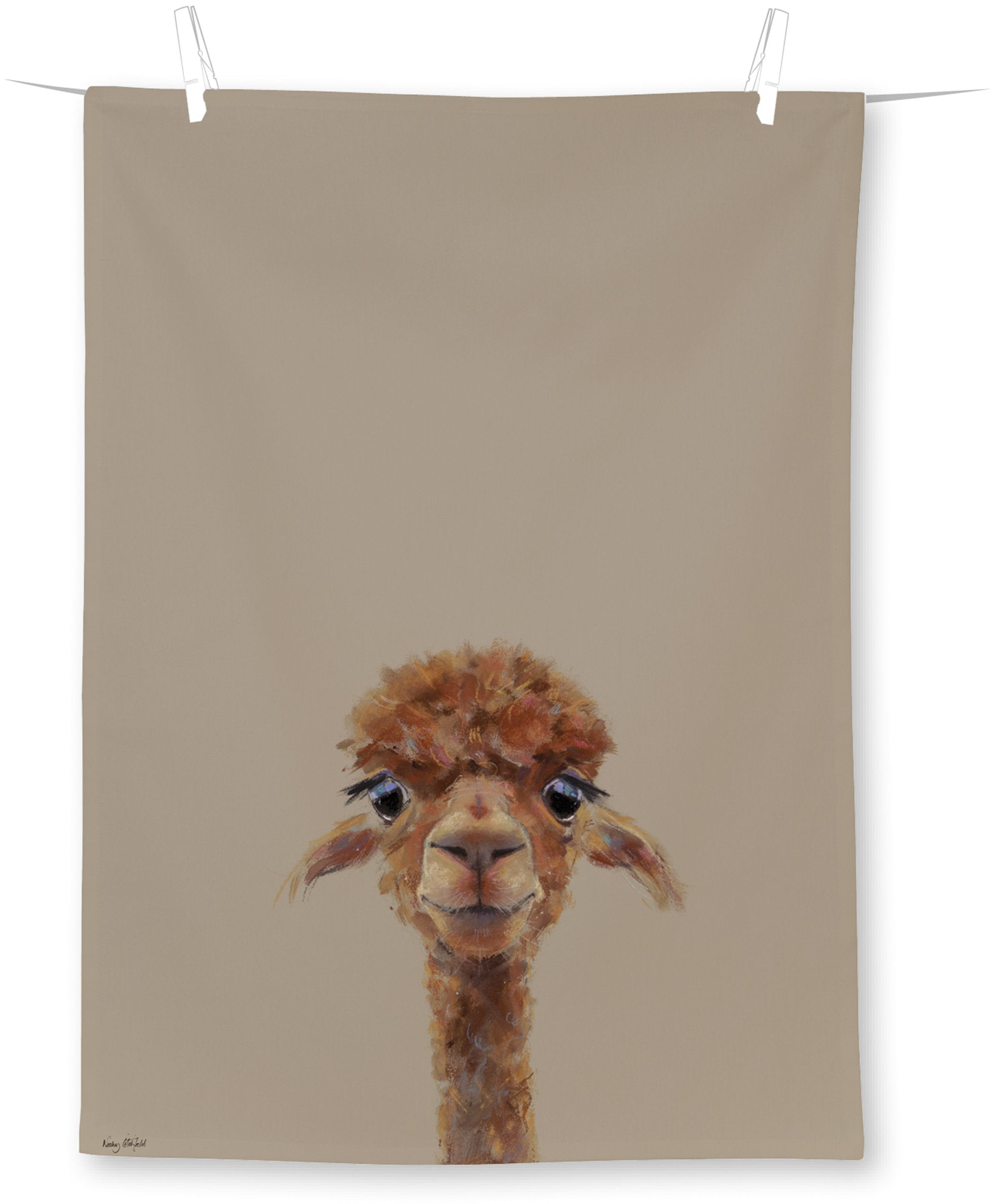 ALPACA FERNANDO VIRTUVES DVIELIS 50x70CM, KOKVILNA