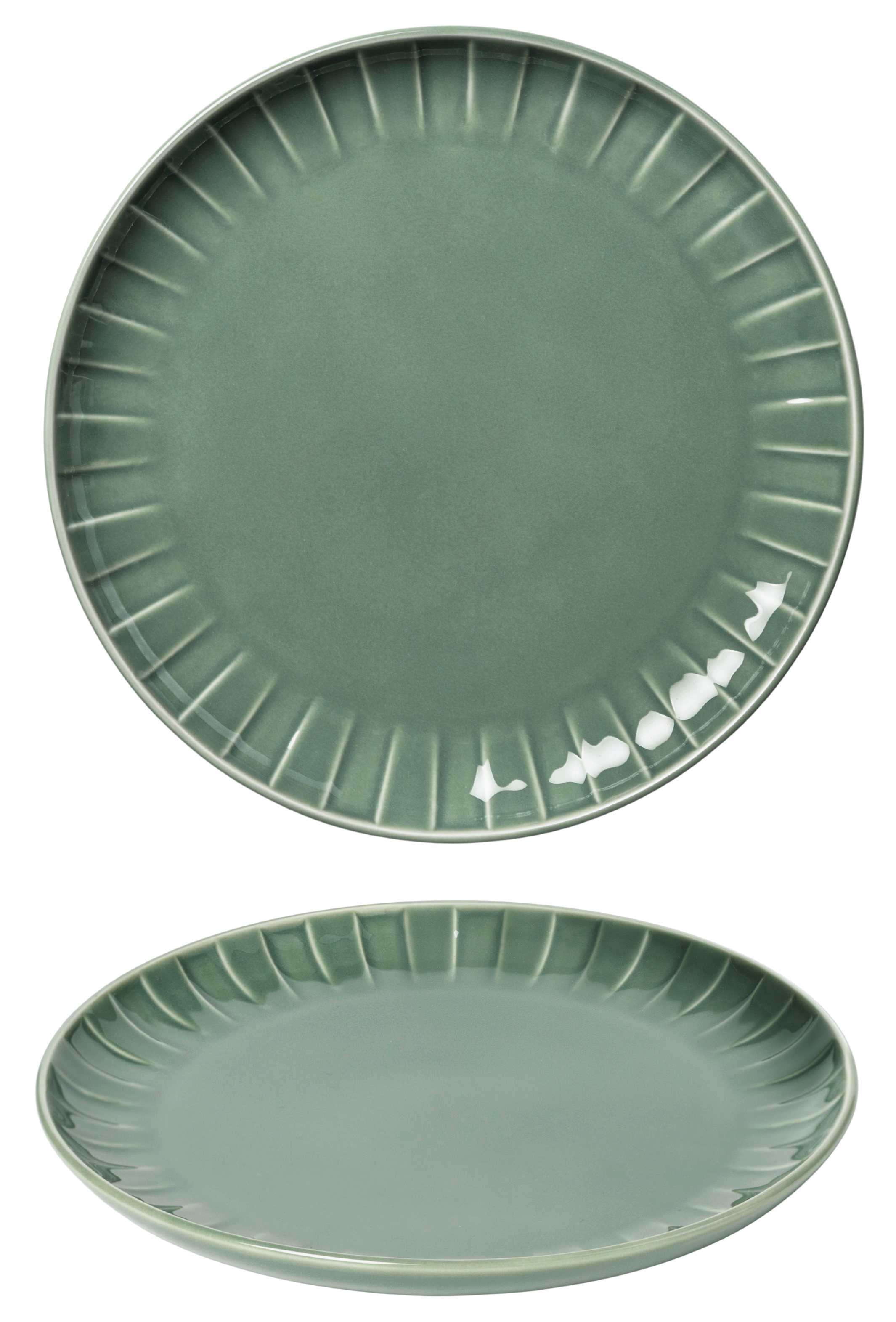 ABSOLUTE ŠĶĪVIS 21CM PAPARDES ZAĻŠ