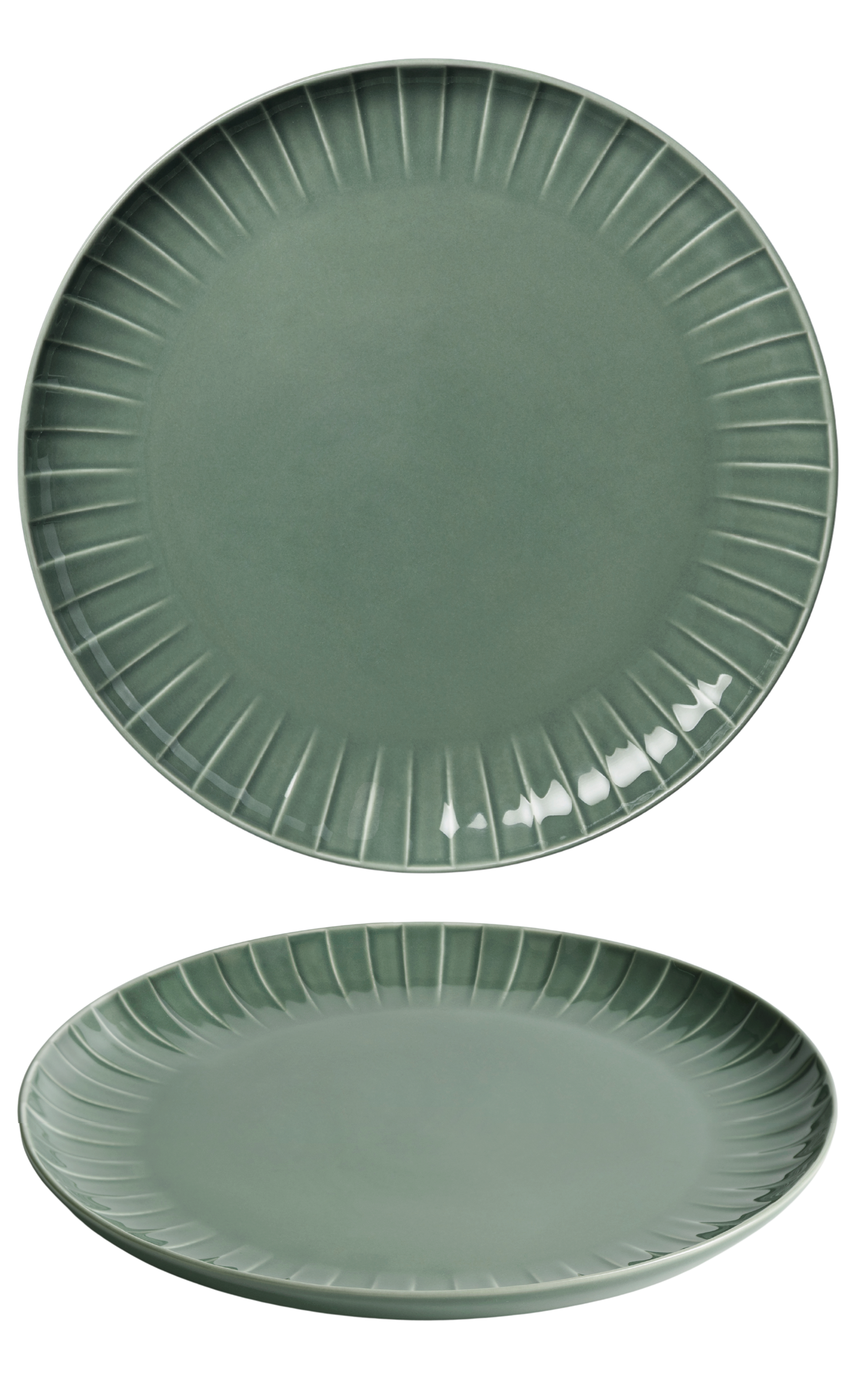 ABSOLUTE ŠĶĪVIS 26CM PAPARDES ZAĻŠ