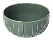 ABSOLUTE BĻODA 17CM PAPARDES ZAĻA
