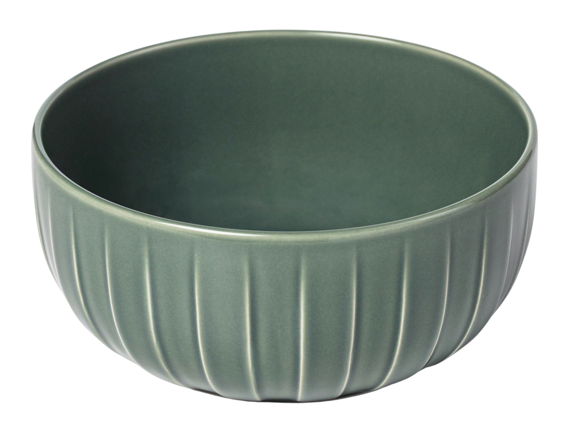 ABSOLUTE BĻODA 17CM PAPARDES ZAĻA