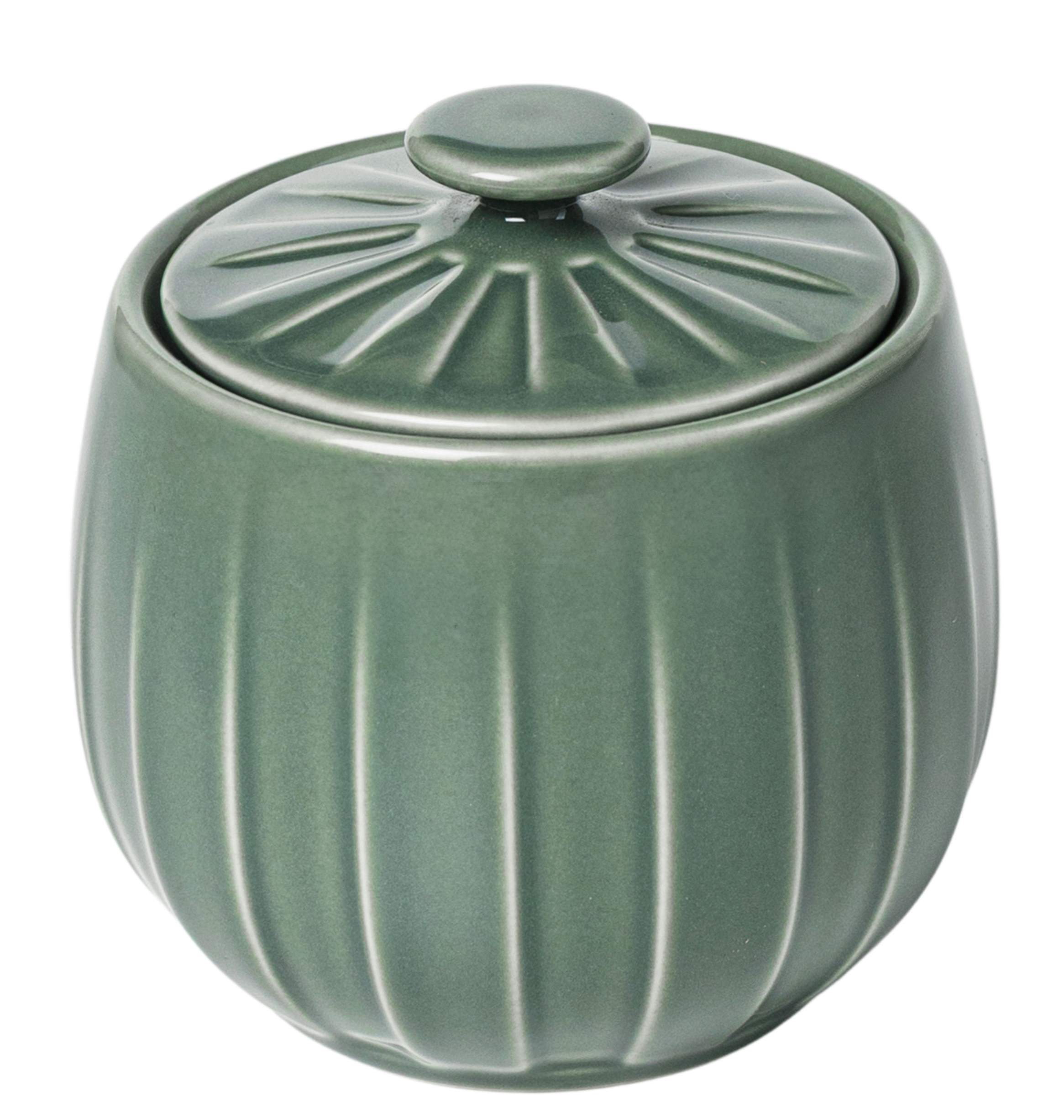 ABSOLUTE CUKURTRAUKS AR VĀCIŅU 250ML PAPARDES ZAĻŠ