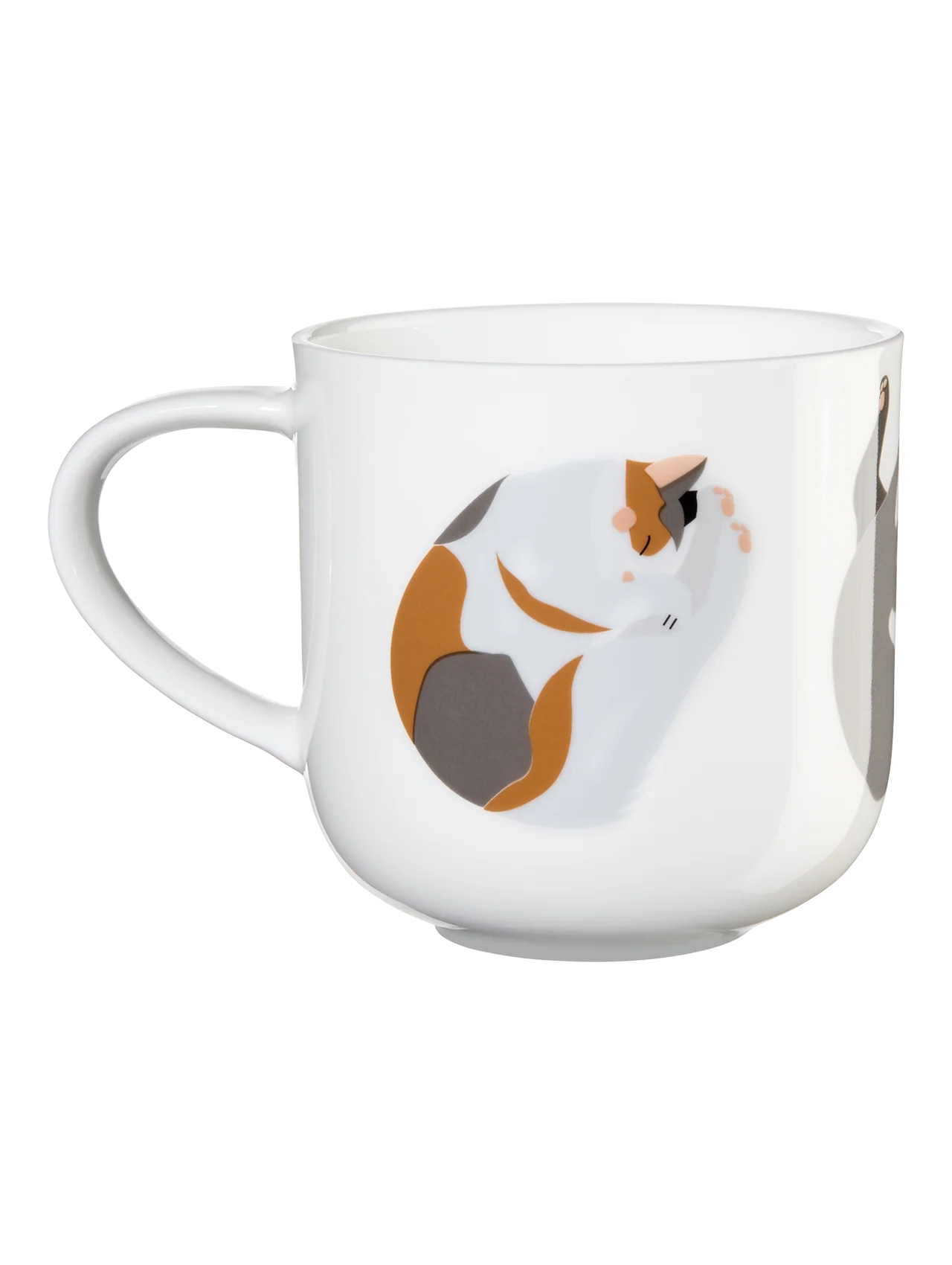 COPPA KRŪZE KAĶI SIESTA 0.4L