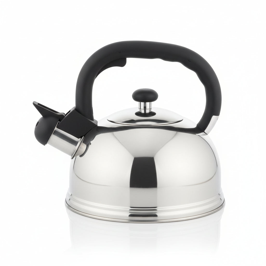 LA CAFETIÈRE TEEKANNA AR SVILPI 1.6L, HÕBEDANE, N/T