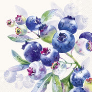 BLUEBERRY FRUITS SALVETES 25x25CM 20GAB, PAPĪRS